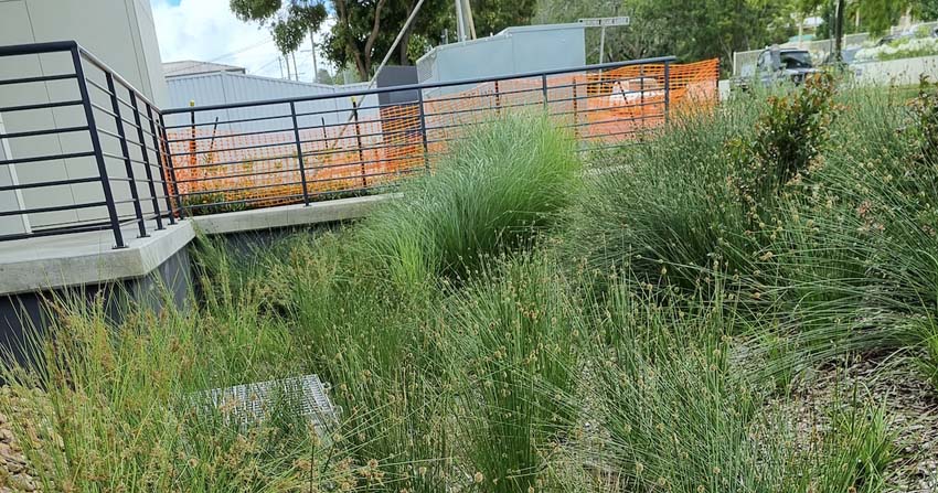 Spel Bio Spel Stormwater Australia